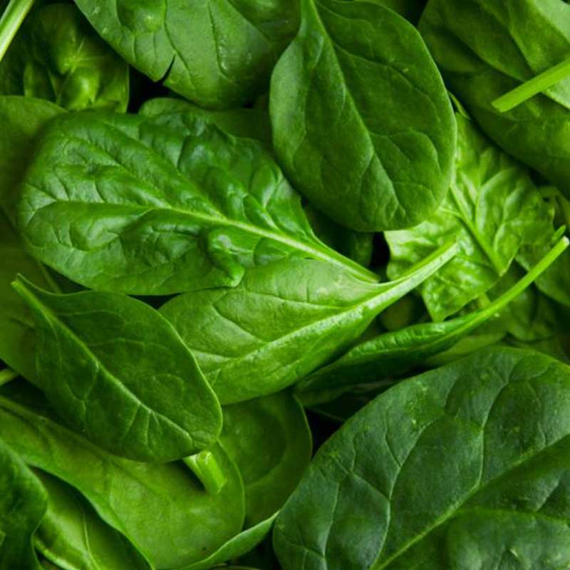 espinaca y disfuncion erectil vida verde batidos orgánicos san jose costa rica