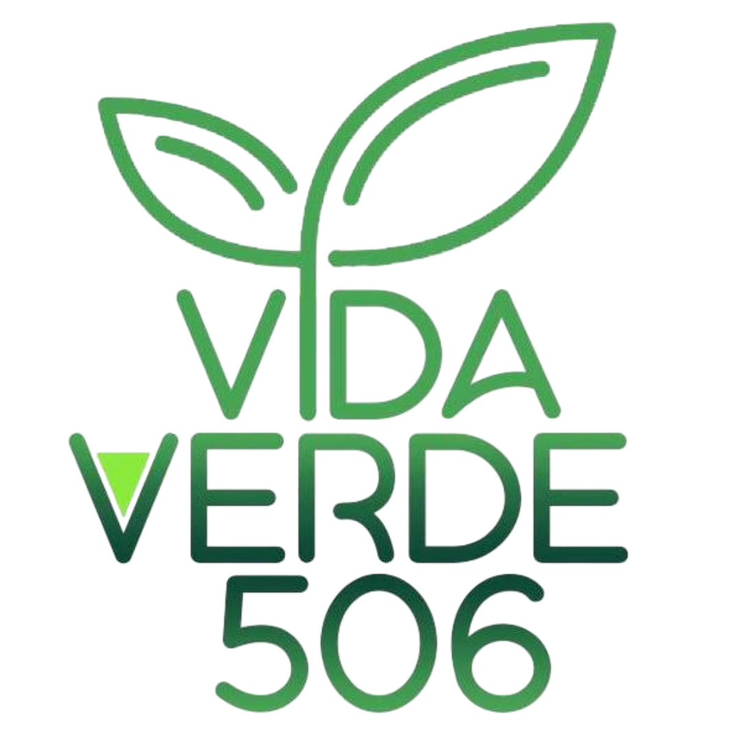 Logo TransparenteVida Verde 506, Vida Verde 506 batidos organicos San Jose, Costa Rica.