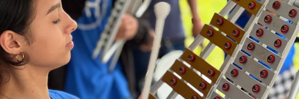 donacion de instrumentos musicales, Vida Verde 506 batidos organicos San Jose, Costa Rica.