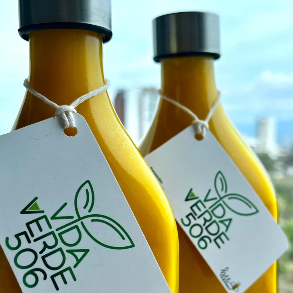 Batido Organico de naranja, Vida Verde 506 batidos organicos San Jose, Costa Rica.