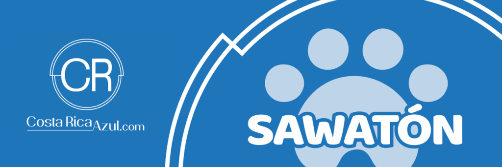 sawaton,Vida Verde 506, Vida Verde 506 batidos organicos San Jose, Costa Rica.